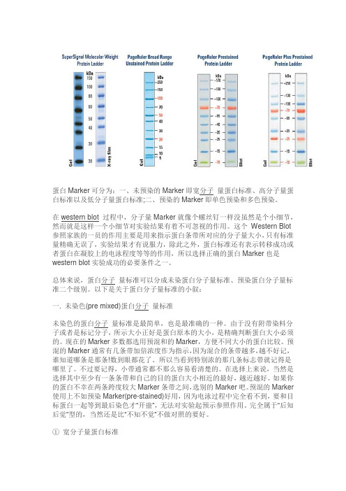 蛋白标准品(Marker)知识汇总