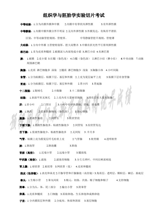 组织学与胚胎学考试重点