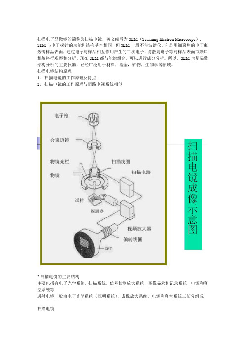 扫描电子显微镜