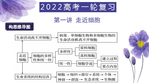 高三一轮复习  第一讲  走近细胞  课件