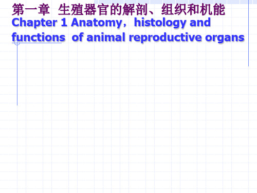 家畜繁殖学第一章、