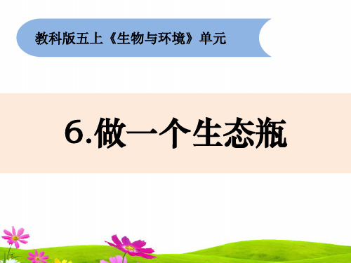 新教科版五年级上册科学《做一个生态瓶》教学课件