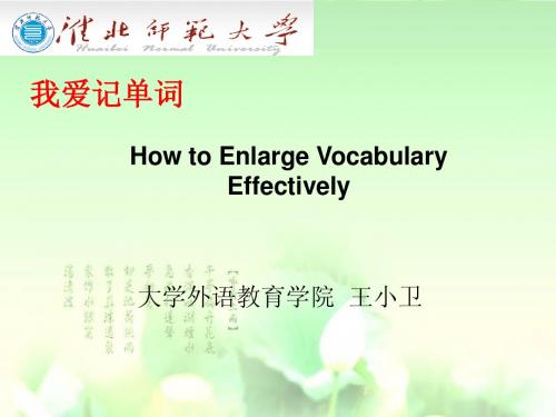 我爱记单词