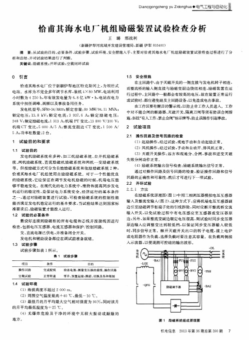 恰甫其海水电厂机组励磁装置试验检查分析