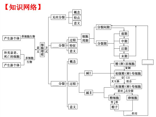 二轮复习细胞分裂-PPT文档资料