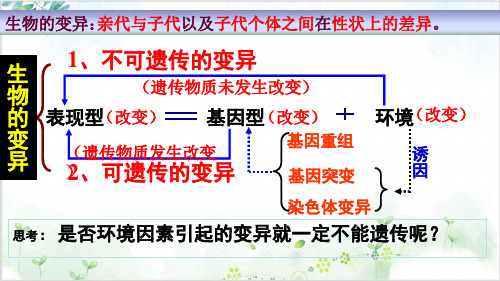 [人教版]《染色体变异》课件下载1