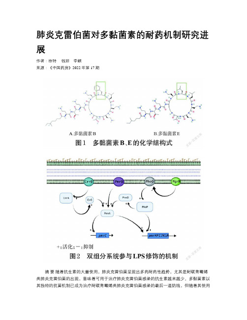 肺炎克雷伯菌对多黏菌素的耐药机制研究进展