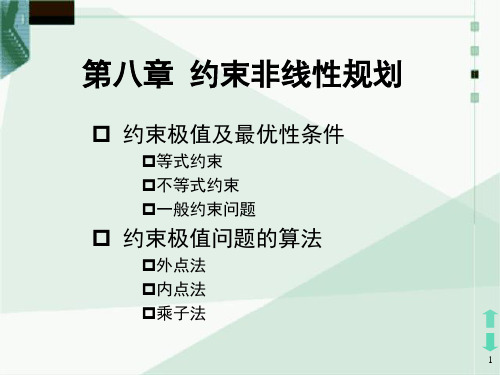 最优化方法第八章约束非线性优化