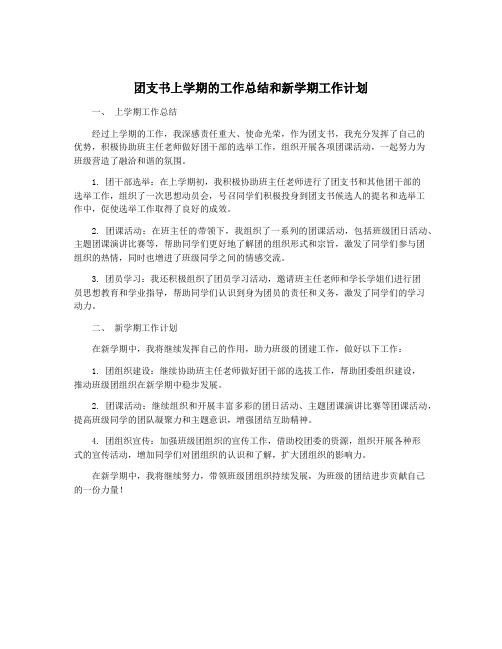 团支书上学期的工作总结和新学期工作计划