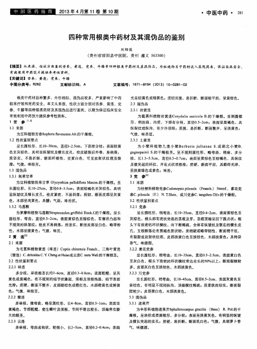 四种常用根类中药材及其混伪品的鉴别