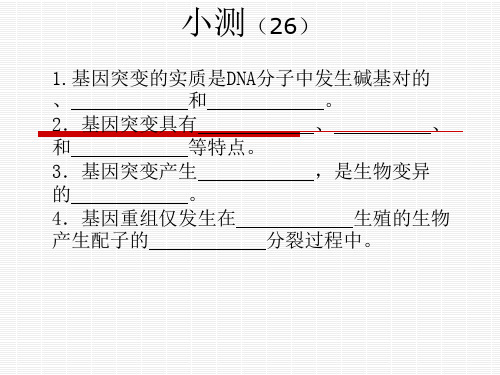 染色体变异复习ppt课件