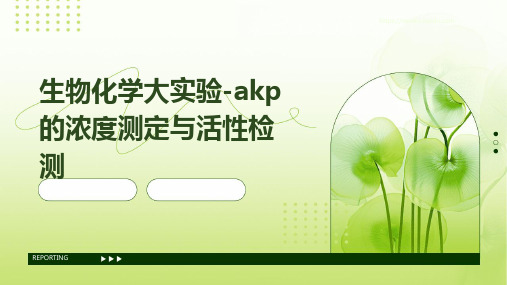 生物化学大实验-akp的浓度测定与活性检测