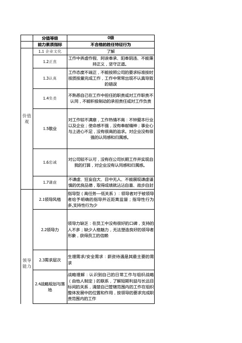 能力素质词典 含标准细则 