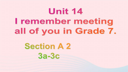 英语九年级全册Unit14A3a-3c教学课件 人教新目标版