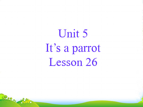 新人教精通版三年级英语下册 Unit 5 It%27s a parrot Lesson 26 课件2