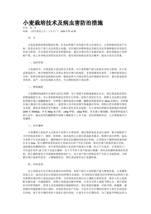 小麦栽培技术及病虫害防治措施