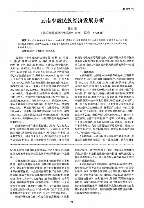 云南少数民族经济发展分析