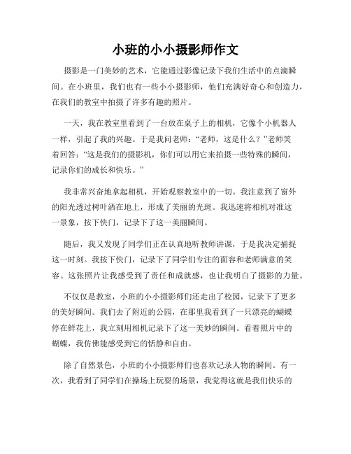 小班的小小摄影师作文