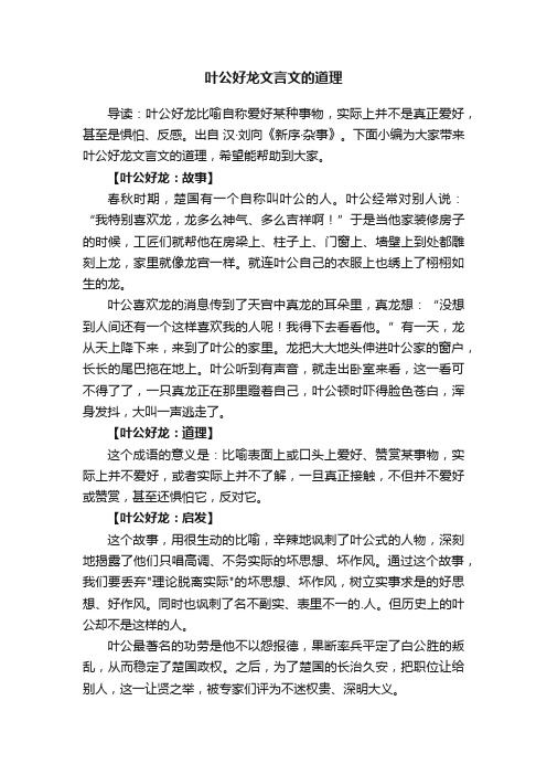 叶公好龙文言文的道理