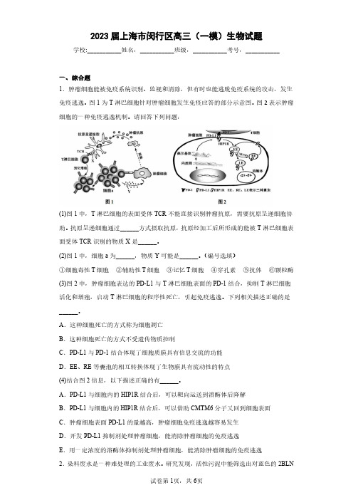 2023届上海市闵行区高三(一模)生物试题(含答案解析)