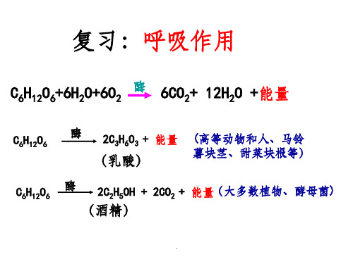 第一轮光合作用一轮复习ppt课件