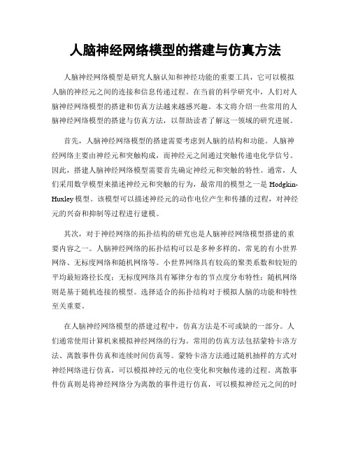 人脑神经网络模型的搭建与仿真方法