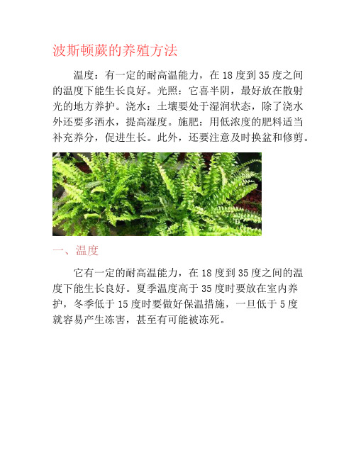 波斯顿蕨的养殖方法-养花技巧