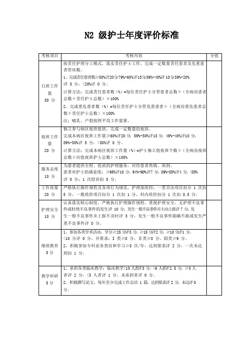 N2 级护士年度评价标准