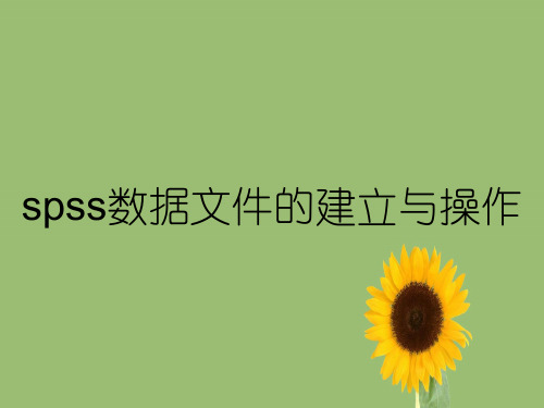 spss数据文件的建立与操作