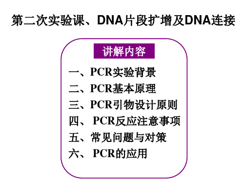 2DNA片段扩增及DNA连接PCR讲解