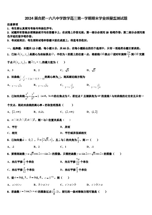 2024届合肥一六八中学数学高三第一学期期末学业质量监测试题含解析