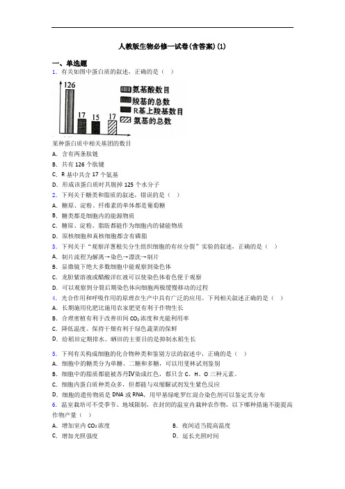 人教版生物必修一试卷(含答案)(1)