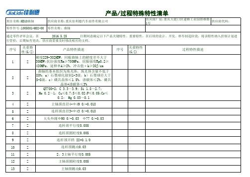 HD10-特殊特性清单及过程流程图