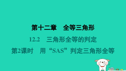 河北省八年级数学上册12-2三角形全等的判定第2课时用“SAS”判定三角形全等新版新人教版