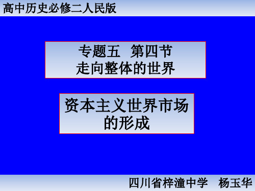 高中历史必修二《专题五走向世界的资本主义市场四走向整体的世界》525人民版PPT课件