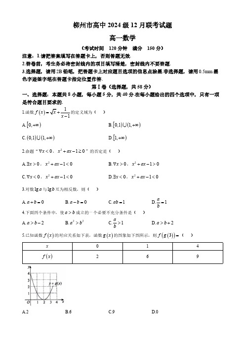 广西壮族自治区柳州市2024-2025学年高一上学期12月联考数学试题(含答案)