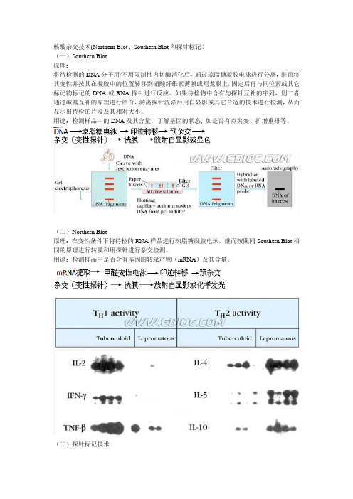 核酸杂交技术