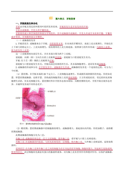 医师执业口腔组织病理学讲义0601