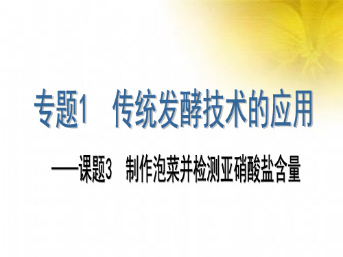 人教版高中生物选修一专题一课题3 _制作泡菜并检测亚硝酸盐含量 课件(共36张PPT)