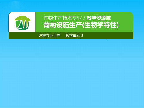 设施果树生产葡萄生物学特性课件