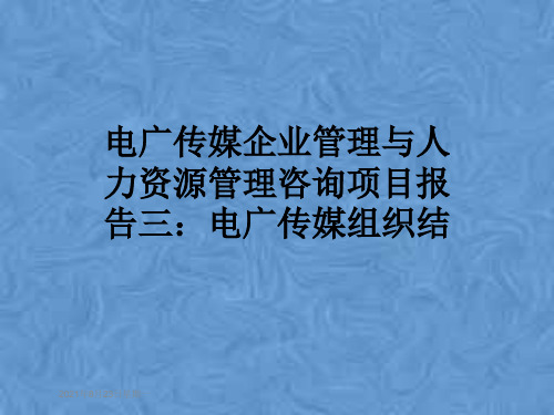 电广传媒企业管理与人力资源管理咨询项目报告三：电广传媒组织结