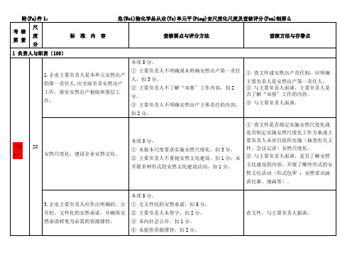 危险化学品从业单位安全标准化标准及考核评分细则(共51页)