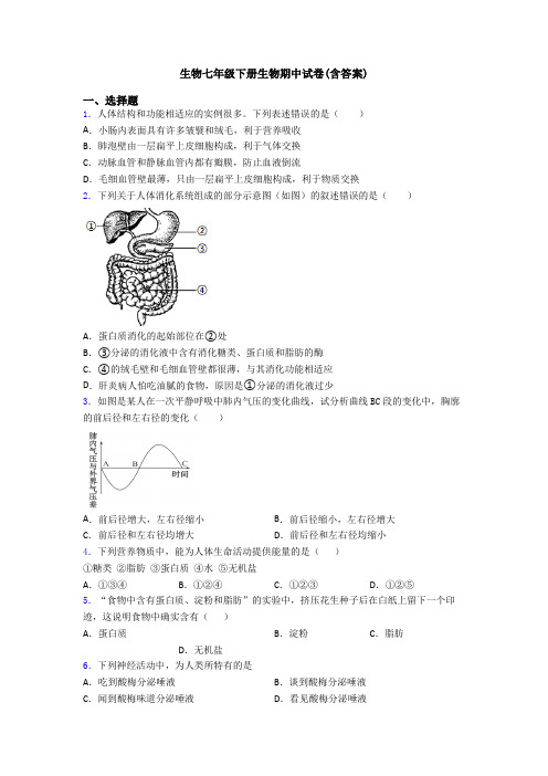 生物七年级下册生物期中试卷(含答案)