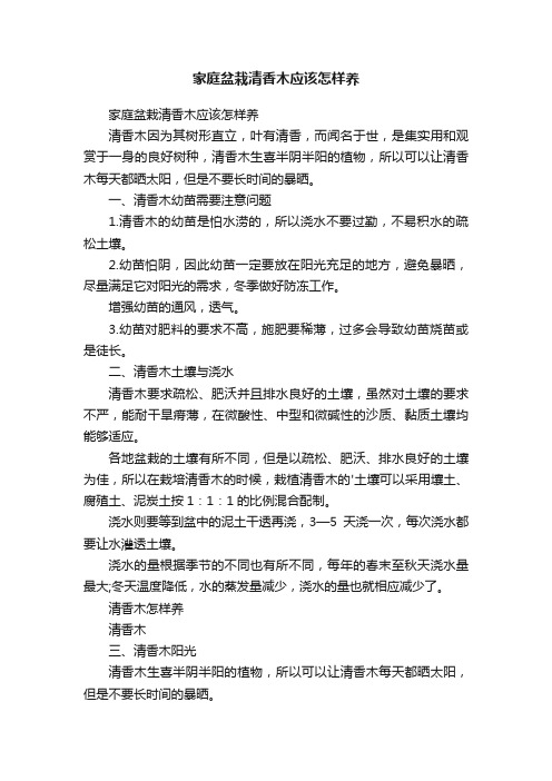 家庭盆栽清香木应该怎样养