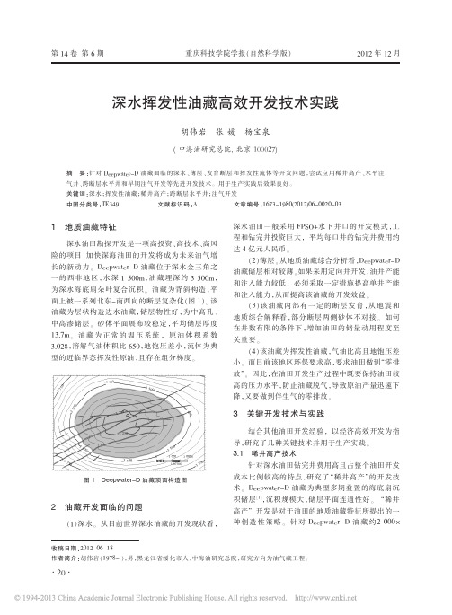 深水挥发性油藏高效开发技术实践