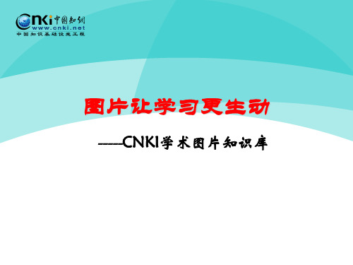 CNKI图片知识库