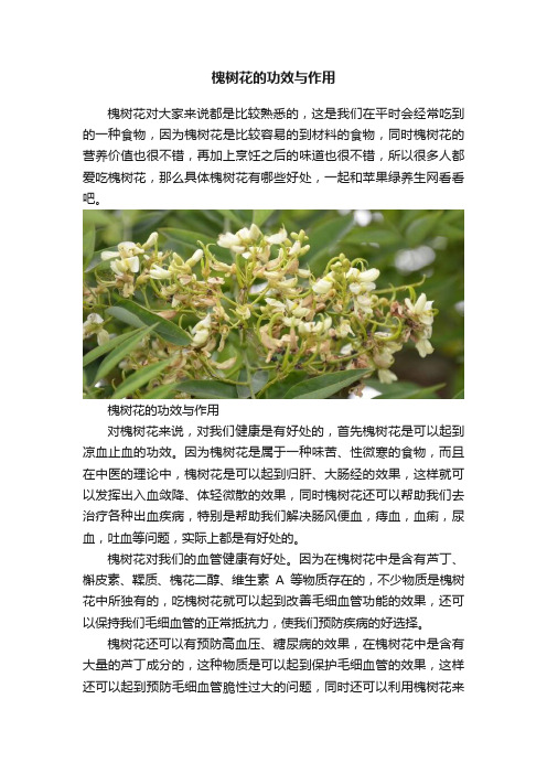 槐树花的功效与作用