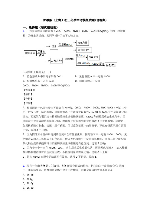 沪教版(上海)初三化学中考模拟试题(含答案)