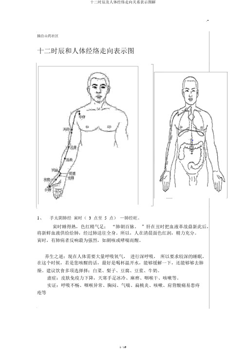 十二时辰及人体经络走向关系示意图解