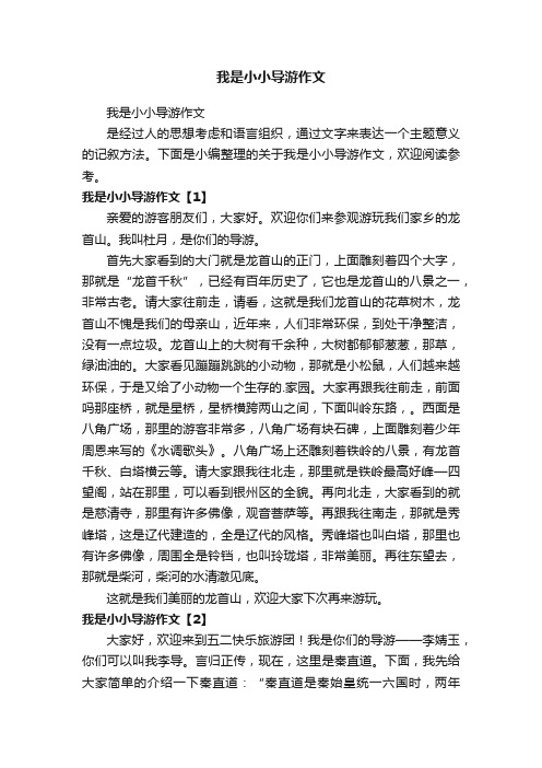 我是小小导游作文